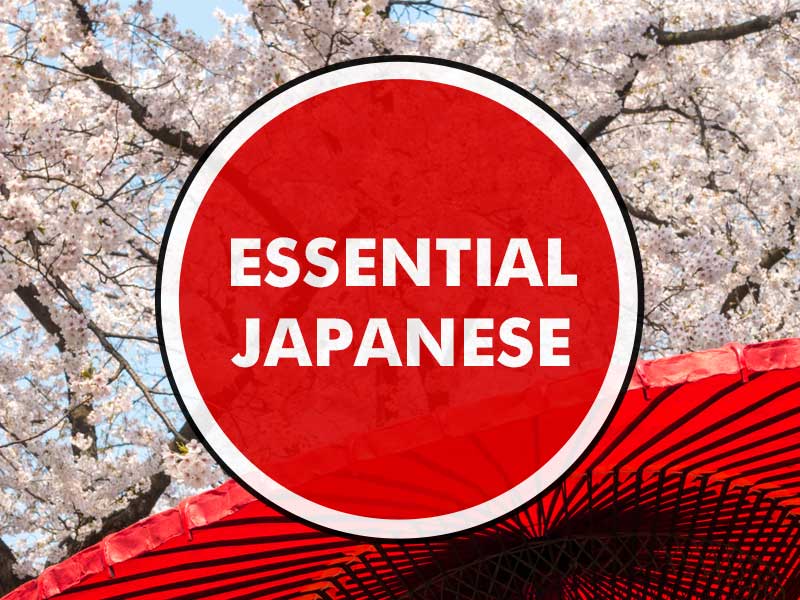 Essential Japanese - Next Course default course image