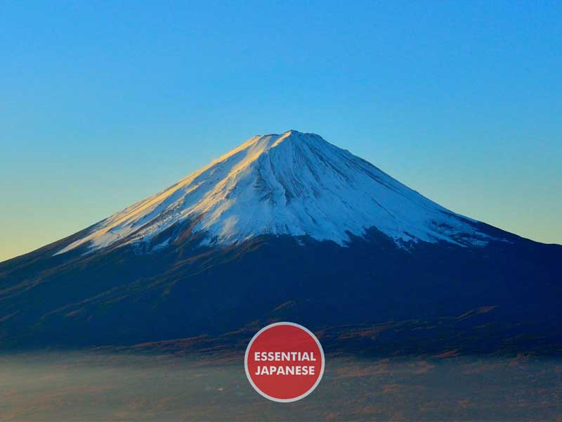 Essential Japanese - Travel Phrases course image